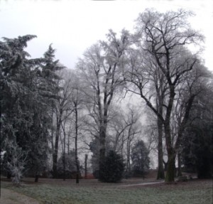 Parco di Villa Bosi in inverno